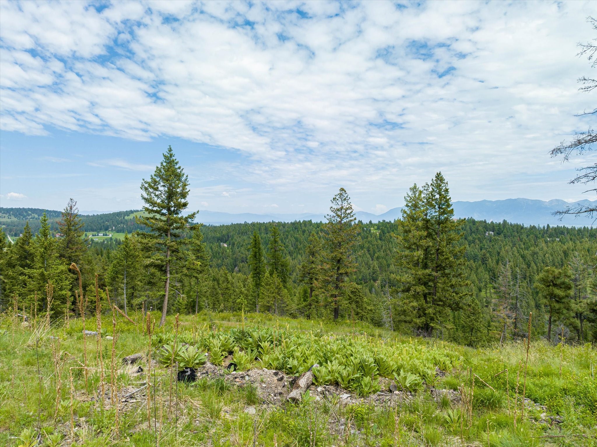 Kalispell, Montana 59901, United States, ,Land,Active,99322