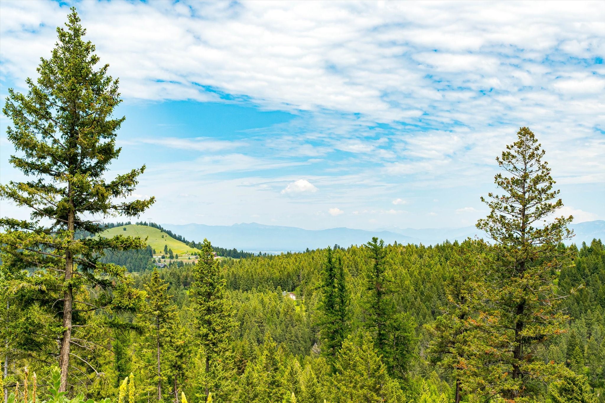 Kalispell, Montana 59901, United States, ,Land,Active,99322