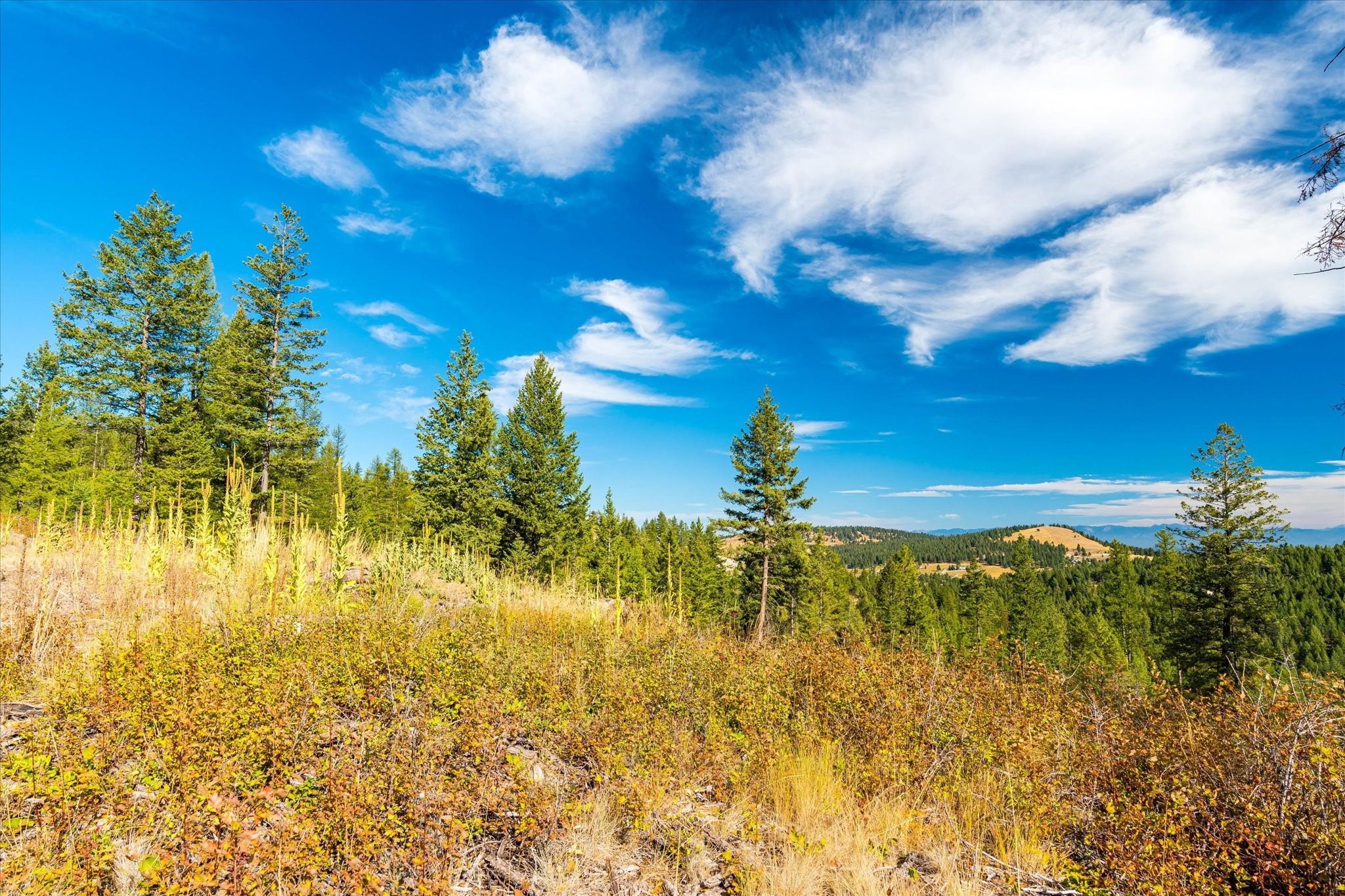 Kalispell, Montana 59901, United States, ,Land,Active,99322