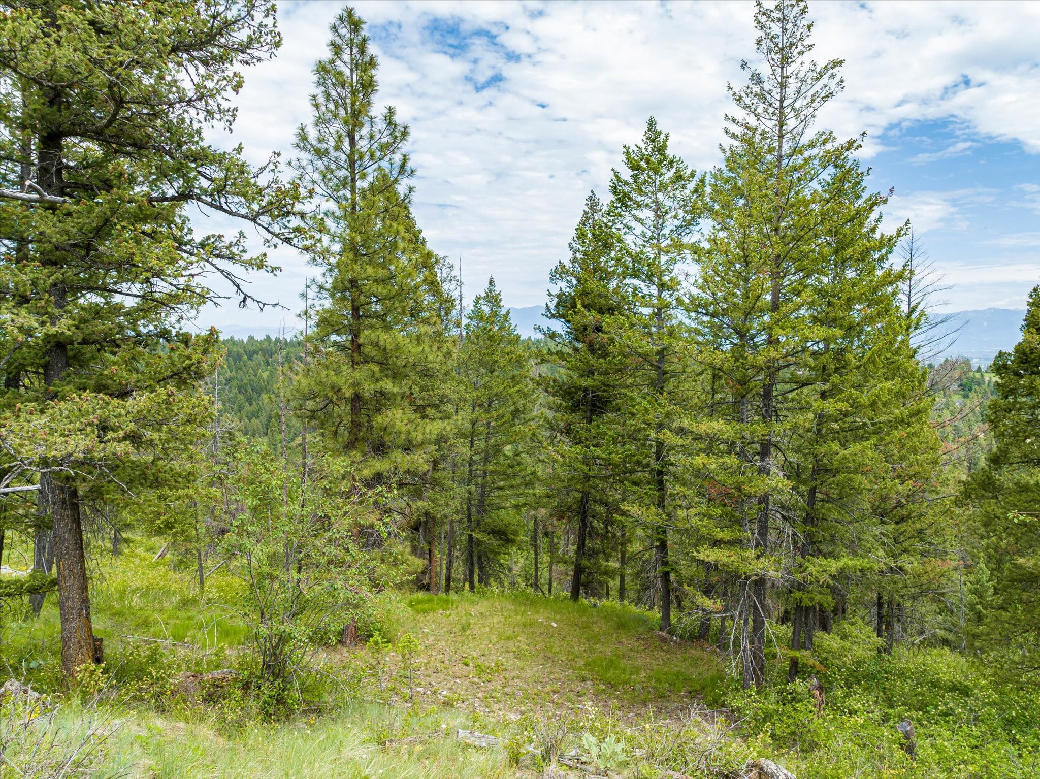 Kalispell, Montana 59901, United States, ,Land,Active,99322