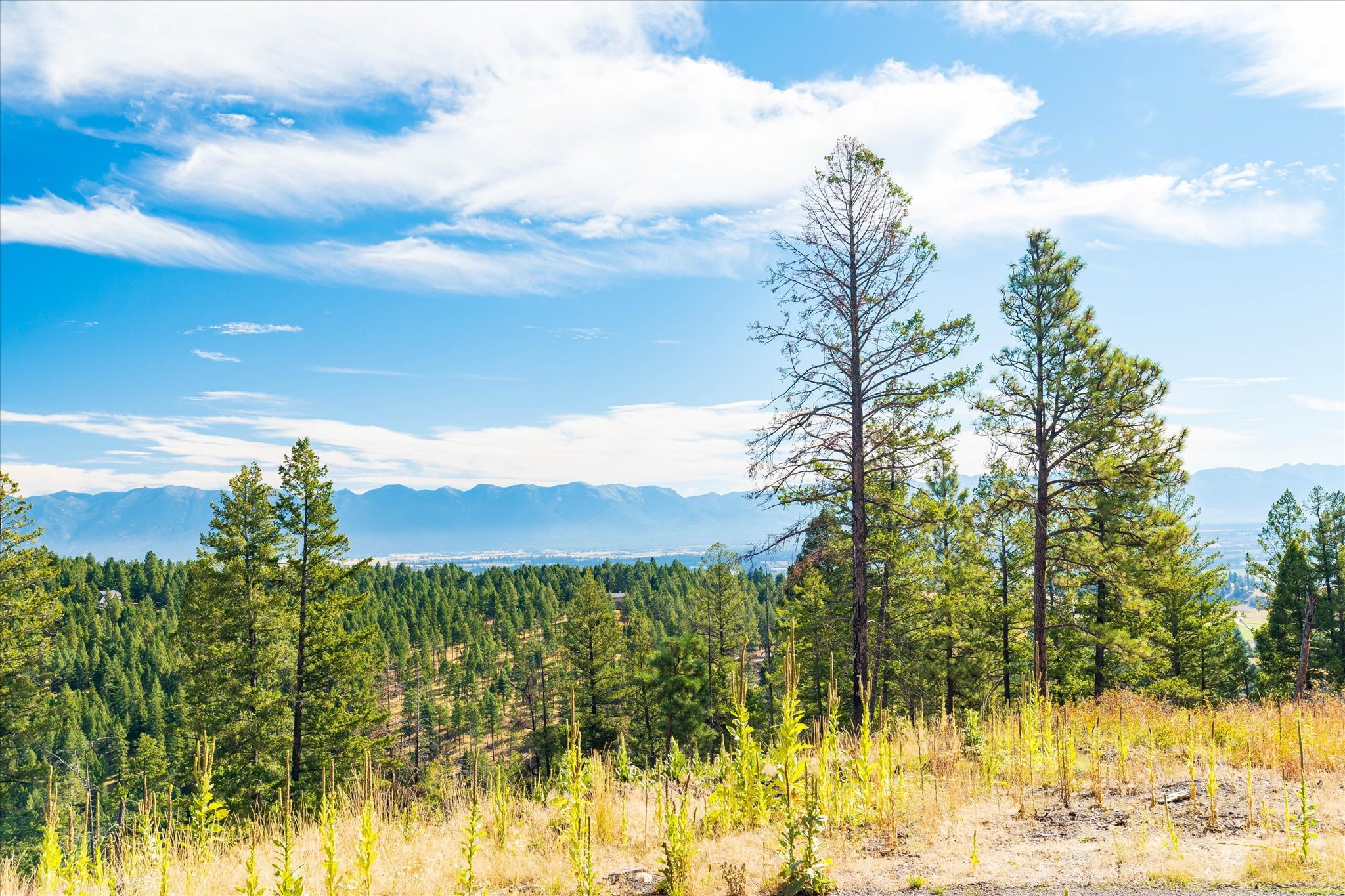 Kalispell, Montana 59901, United States, ,Land,Active,99322