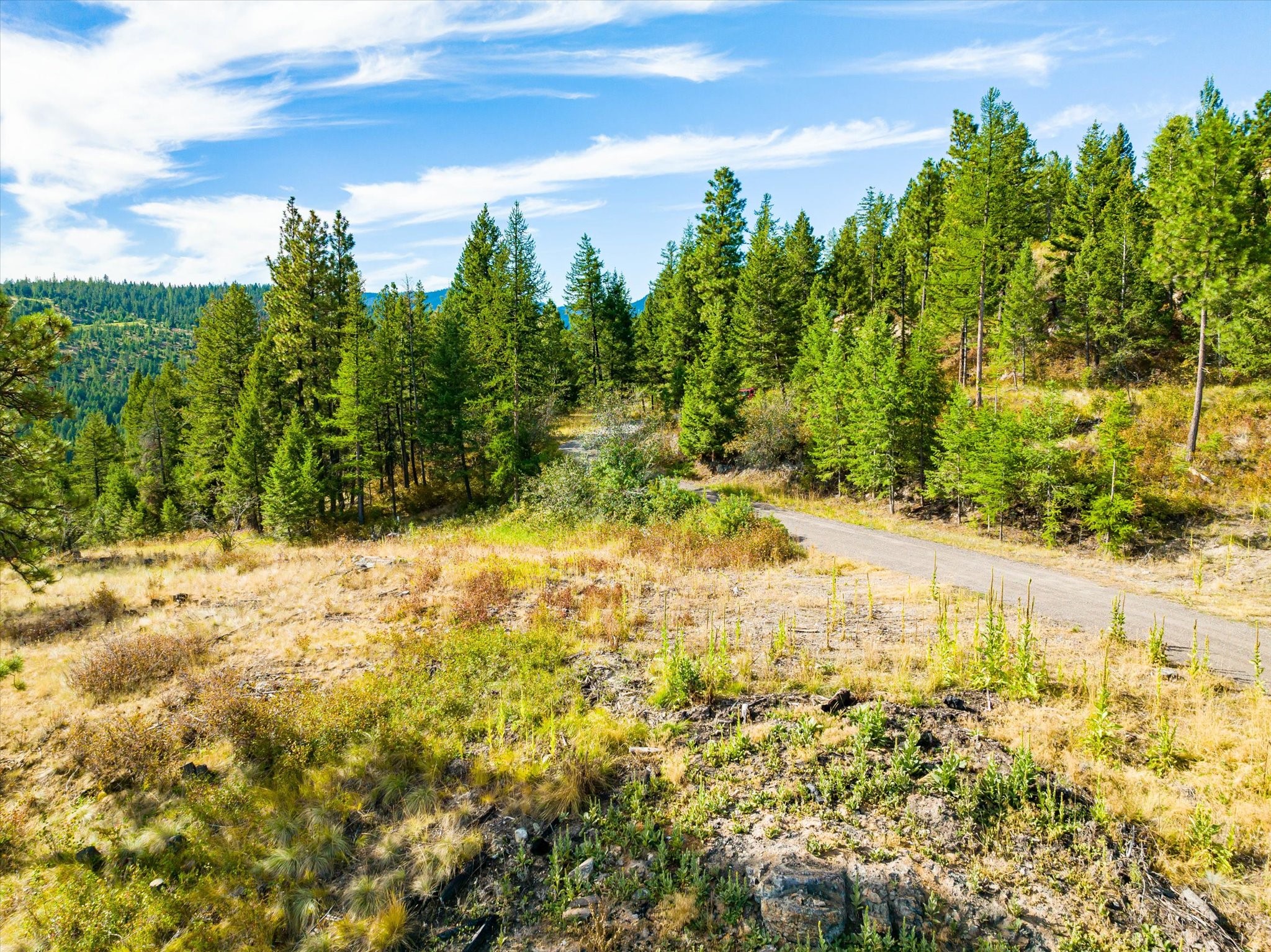 Kalispell, Montana 59901, United States, ,Land,Active,99322