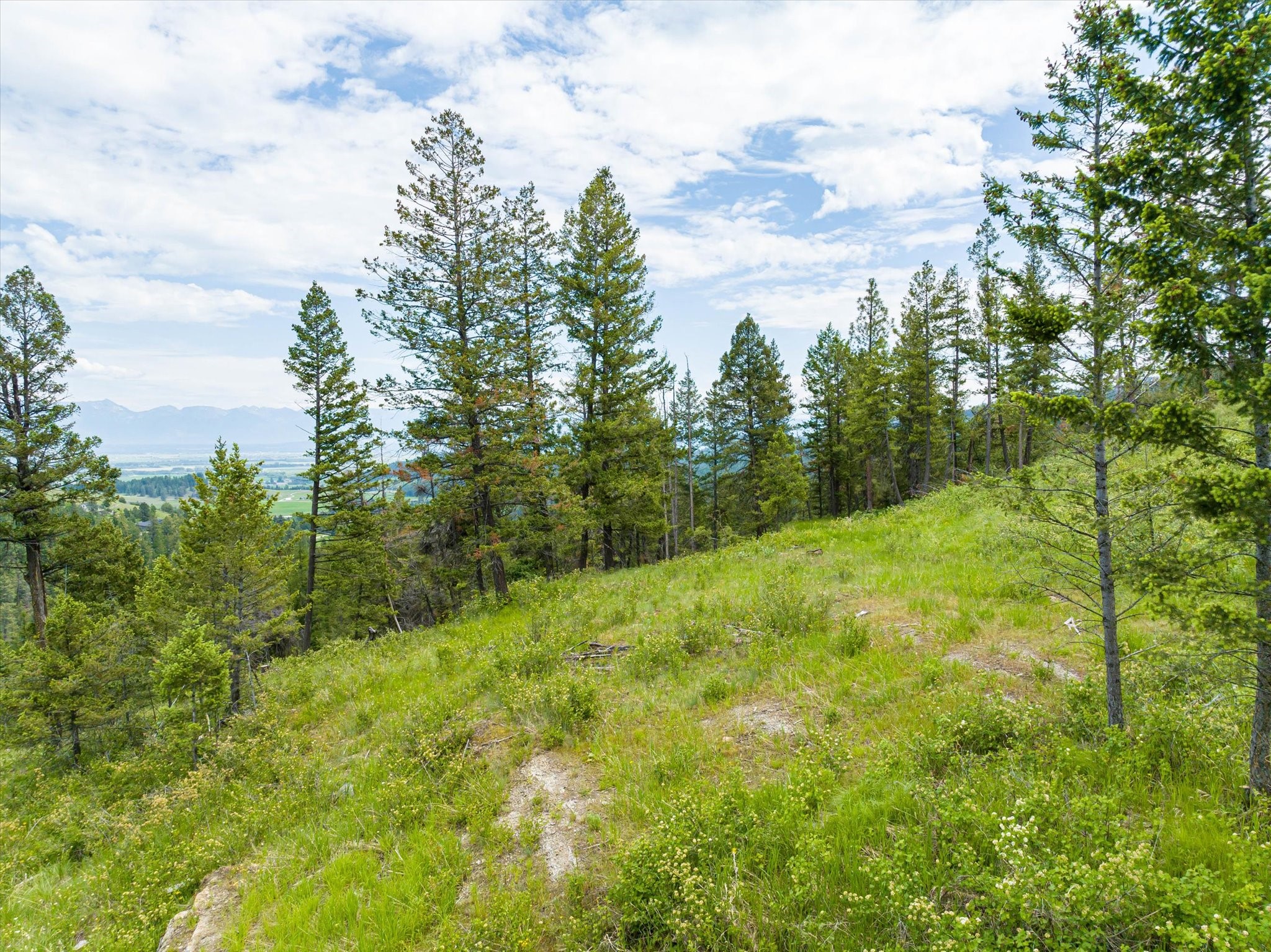 Kalispell, Montana 59901, United States, ,Land,Active,99322