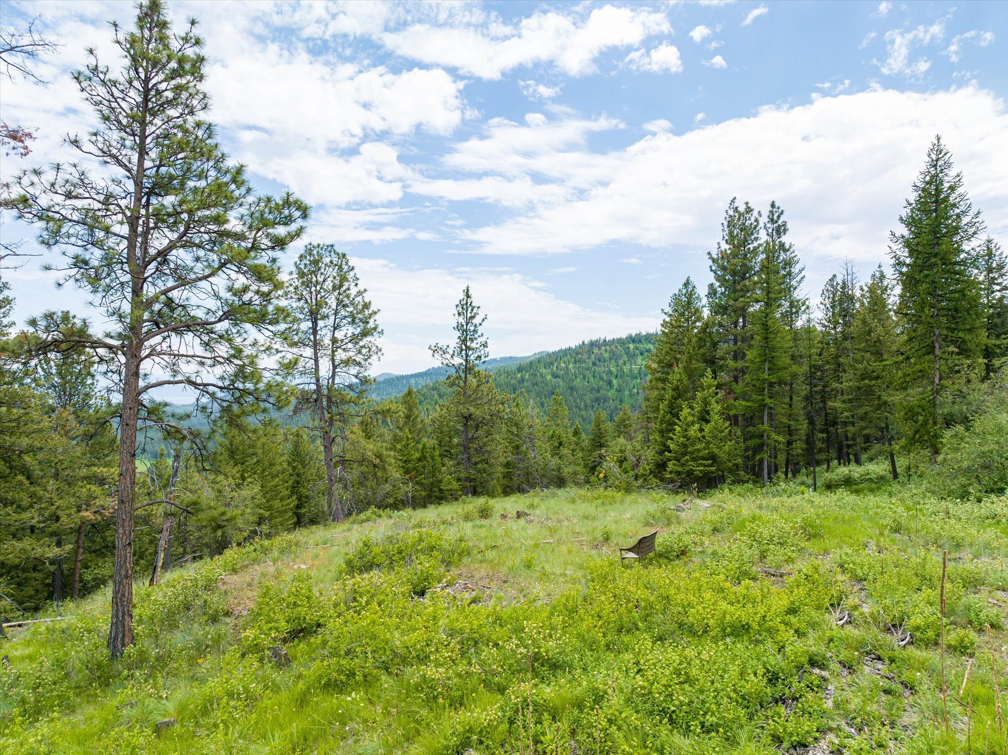 Kalispell, Montana 59901, United States, ,Land,Active,99322