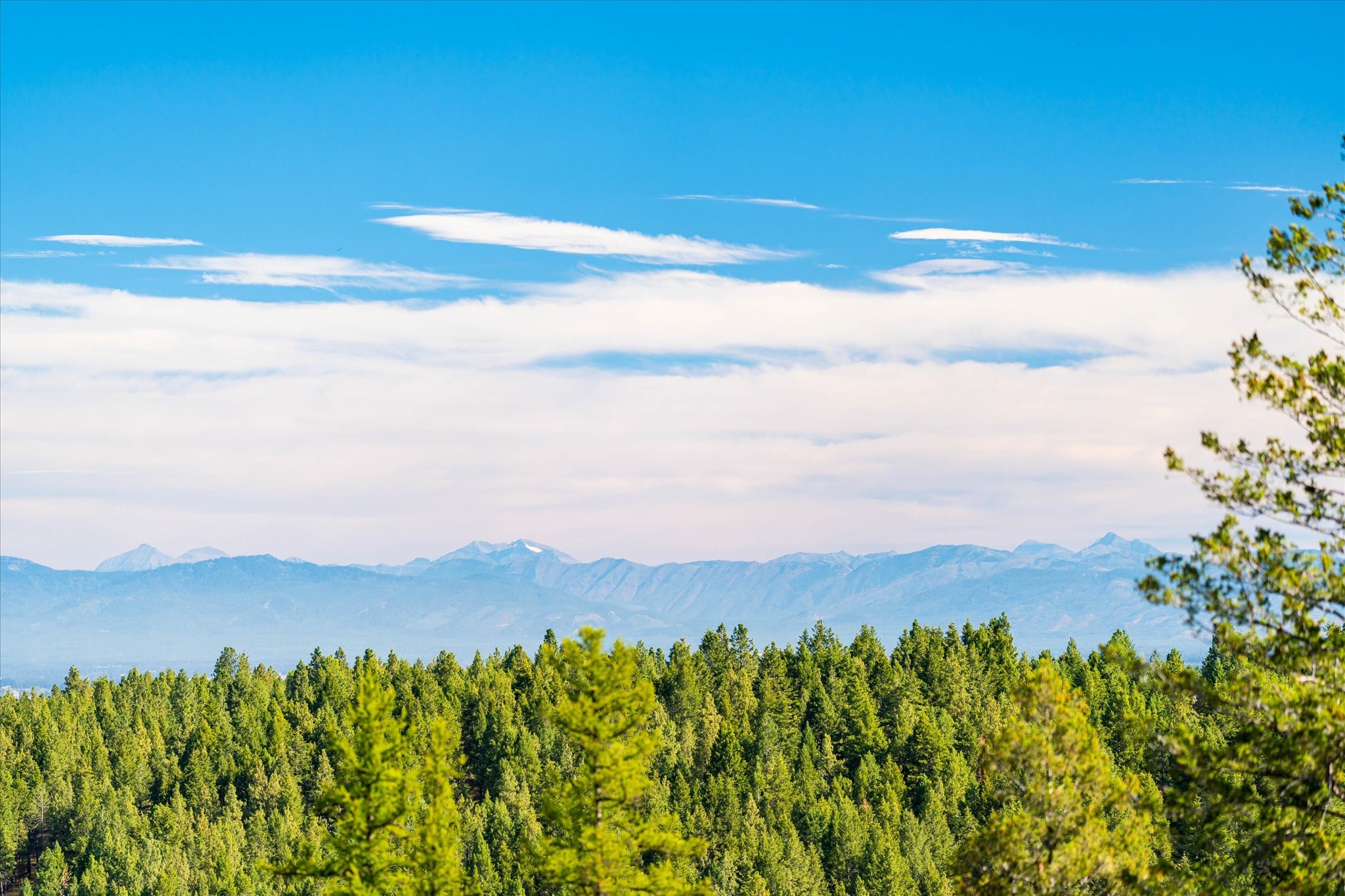 Kalispell, Montana 59901, United States, ,Land,Active,99322