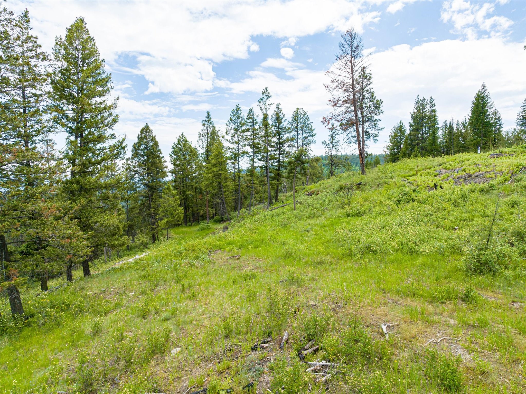 Kalispell, Montana 59901, United States, ,Land,Active,99322