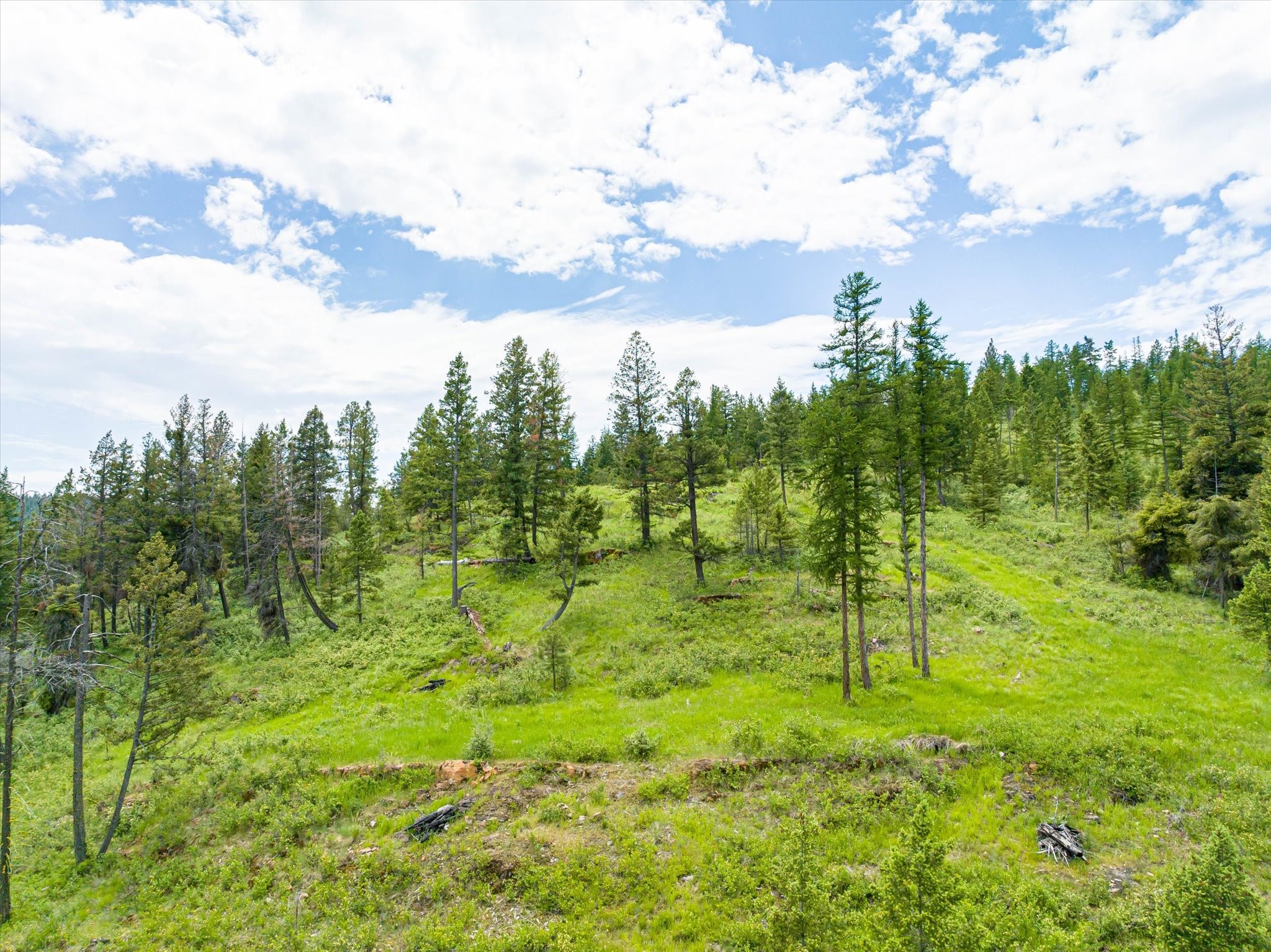 Kalispell, Montana 59901, United States, ,Land,Active,99322