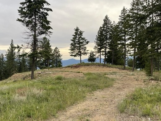 11509 Timber Ridge Lane