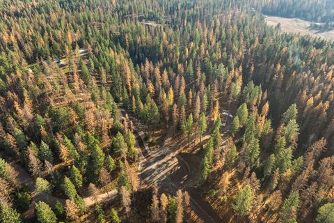 Tiny photo for 76 Meadow Mint Way, Kalispell, MT 59901 (MLS # 30061495)