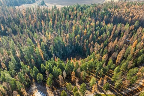 Tiny photo for 76 Meadow Mint Way, Kalispell, MT 59901 (MLS # 30061495)