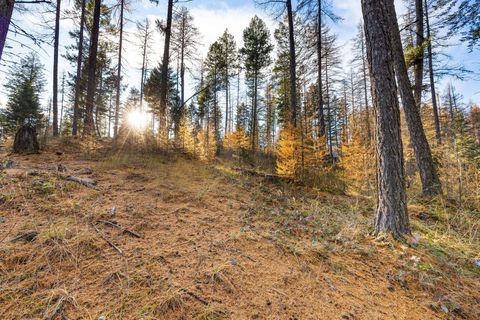 Tiny photo for 76 Meadow Mint Way, Kalispell, MT 59901 (MLS # 30061495)