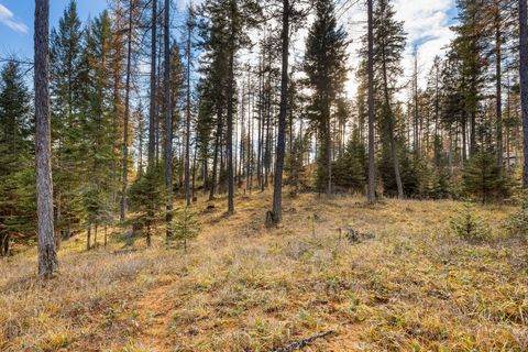 Tiny photo for 76 Meadow Mint Way, Kalispell, MT 59901 (MLS # 30061495)