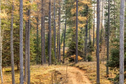 Tiny photo for 76 Meadow Mint Way, Kalispell, MT 59901 (MLS # 30061495)