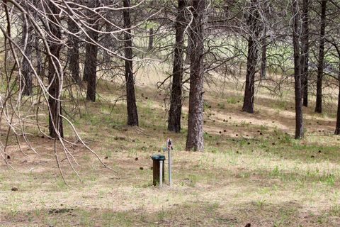 Tiny photo for NHN Sleeman Creek Road, Lolo, MT 59847 (MLS # 30070589)