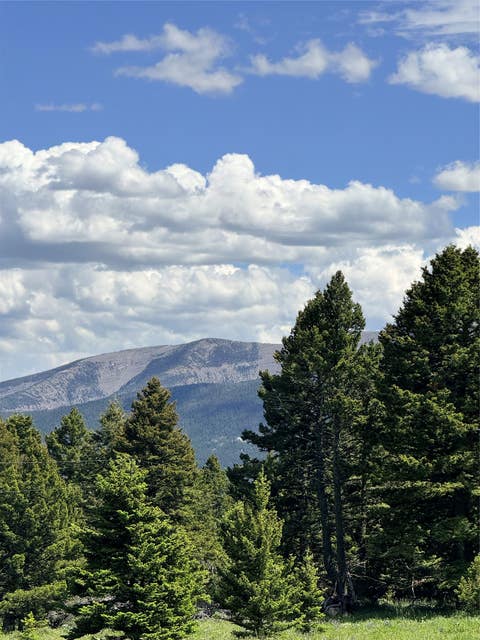 Tiny photo for TBD Arrowwood Estates Lane, Raynesford, MT 59469 (MLS # 30077150)
