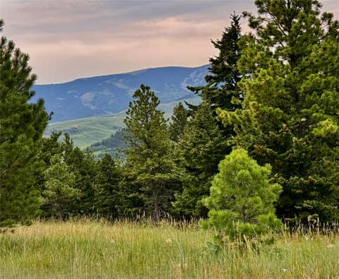 Photo of TBD Arrowwood Estates Lane, Raynesford, MT 59469 (MLS # 30077150)