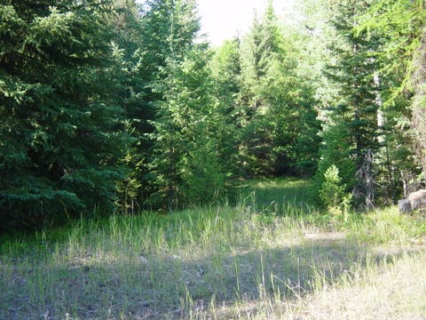 Tiny photo for NHN Lot 11 Davis Creek Road, Libby, MT 59923 (MLS # 30076626)