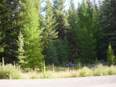 Photo of NHN Lot 11 Davis Creek Road, Libby, MT 59923 (MLS # 30076626)