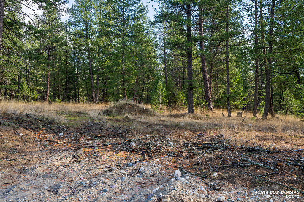 Lot 10 Lake Heights North Star Landing