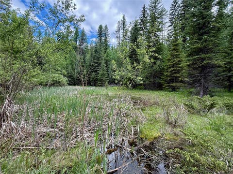 Tiny photo for 470 Bootjack Lake Road, Whitefish, MT 59937 (MLS # 30072696)