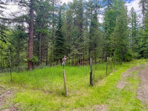 Tiny photo for 470 Bootjack Lake Road, Whitefish, MT 59937 (MLS # 30072696)