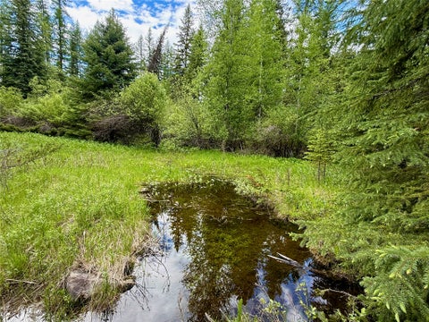 Tiny photo for 470 Bootjack Lake Road, Whitefish, MT 59937 (MLS # 30072696)