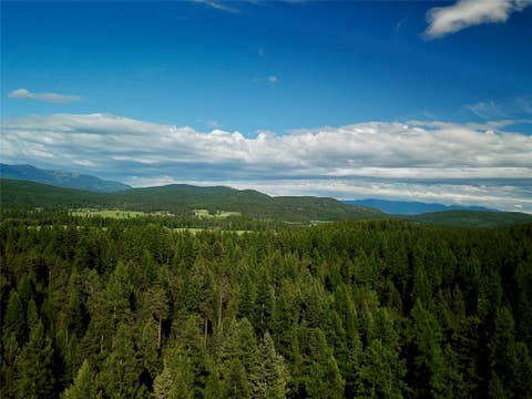 Tiny photo for 470 Bootjack Lake Road, Whitefish, MT 59937 (MLS # 30072696)