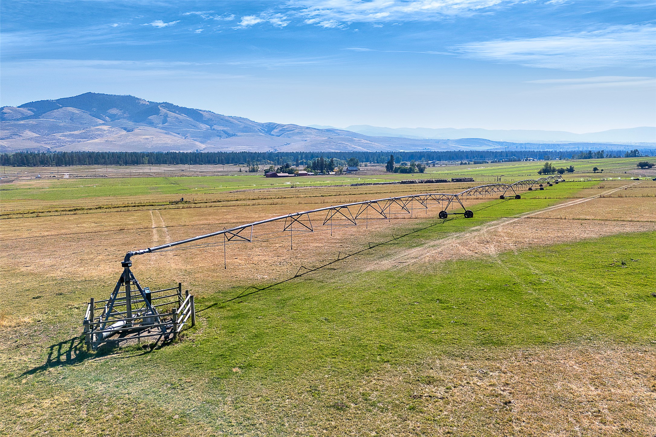 000 Homestead Pastures