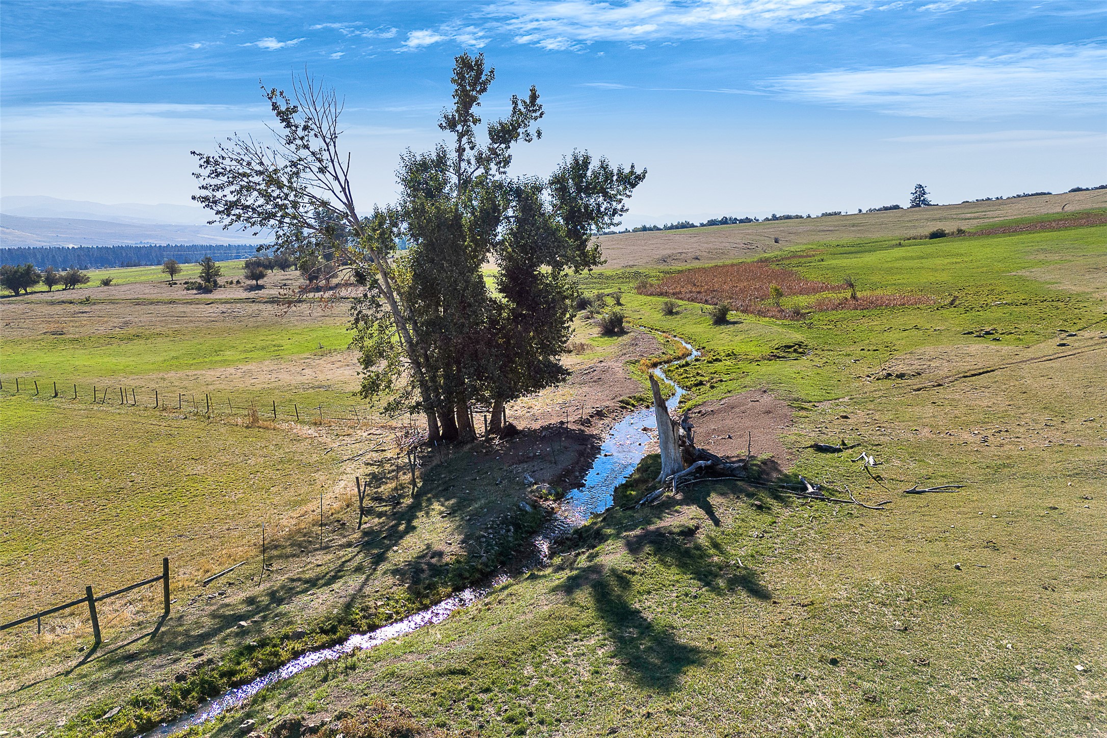 000 Homestead Pastures