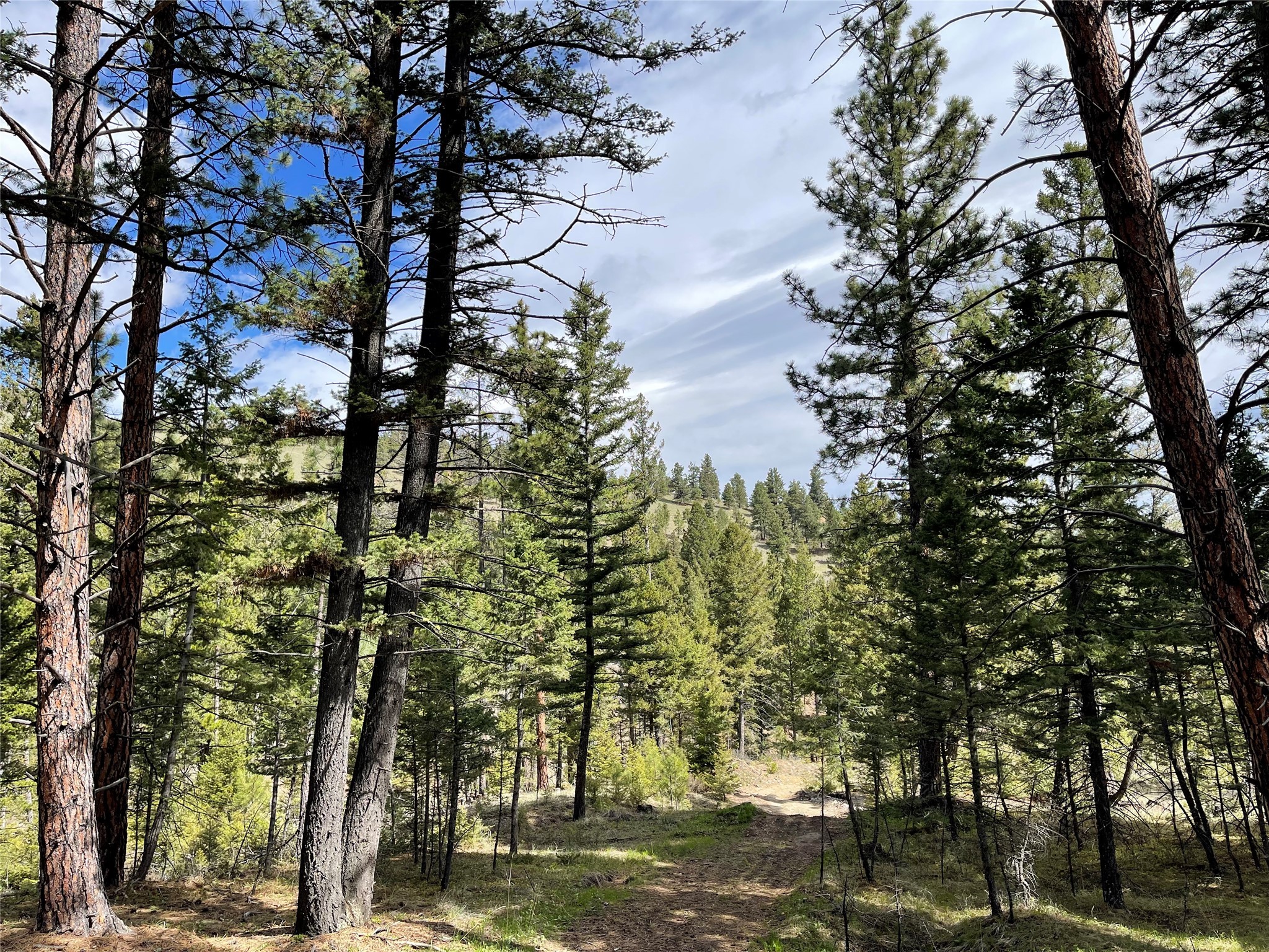 Helena, Montana 59601, United States, ,Land,Active,198697