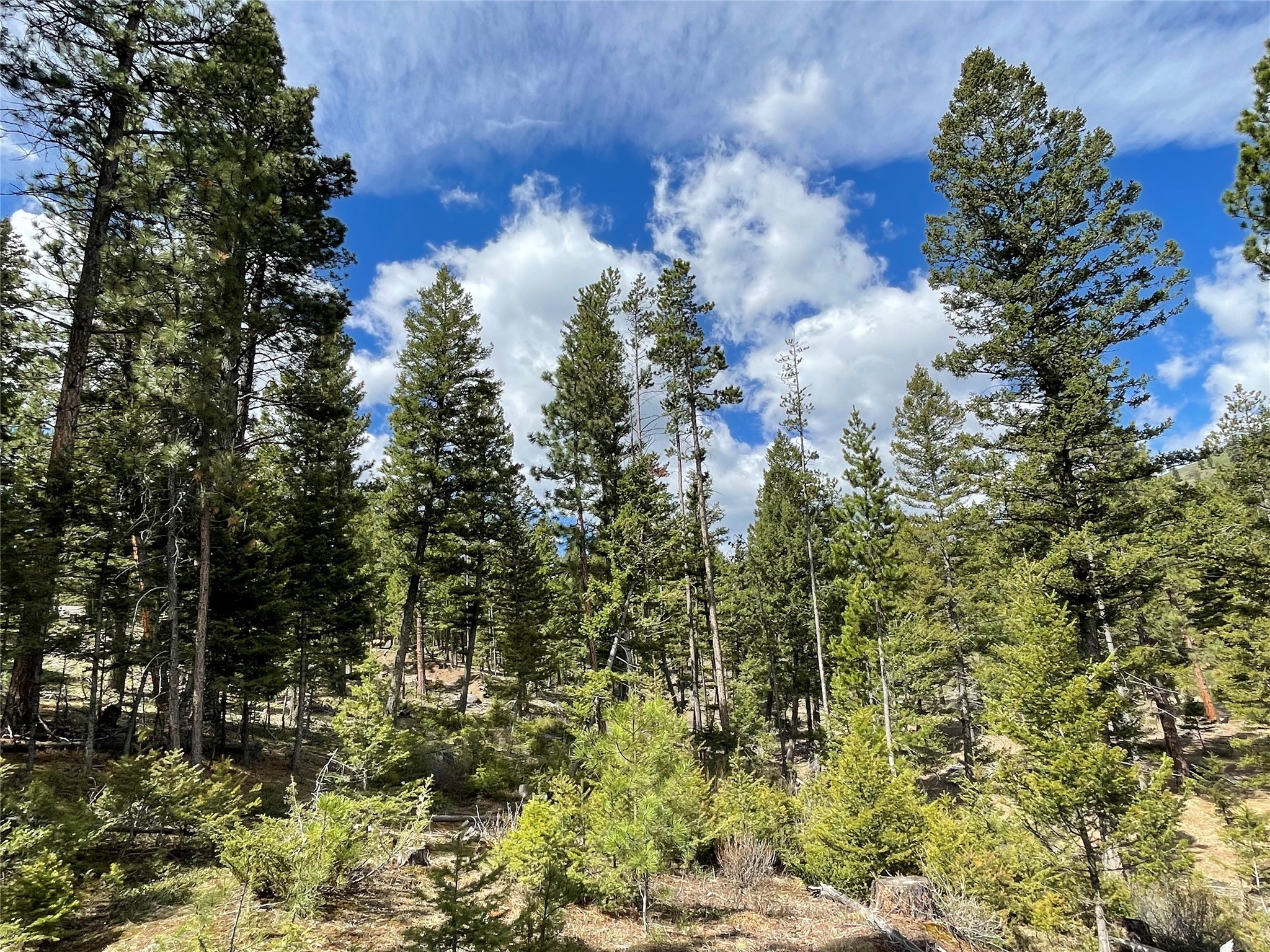 Helena, Montana 59601, United States, ,Land,Active,198697