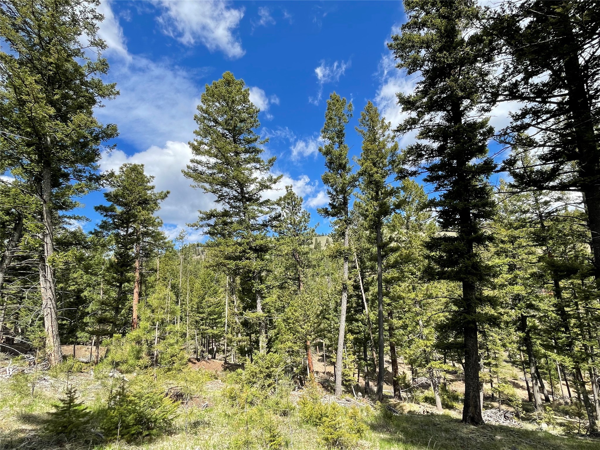 Helena, Montana 59601, United States, ,Land,Active,198697