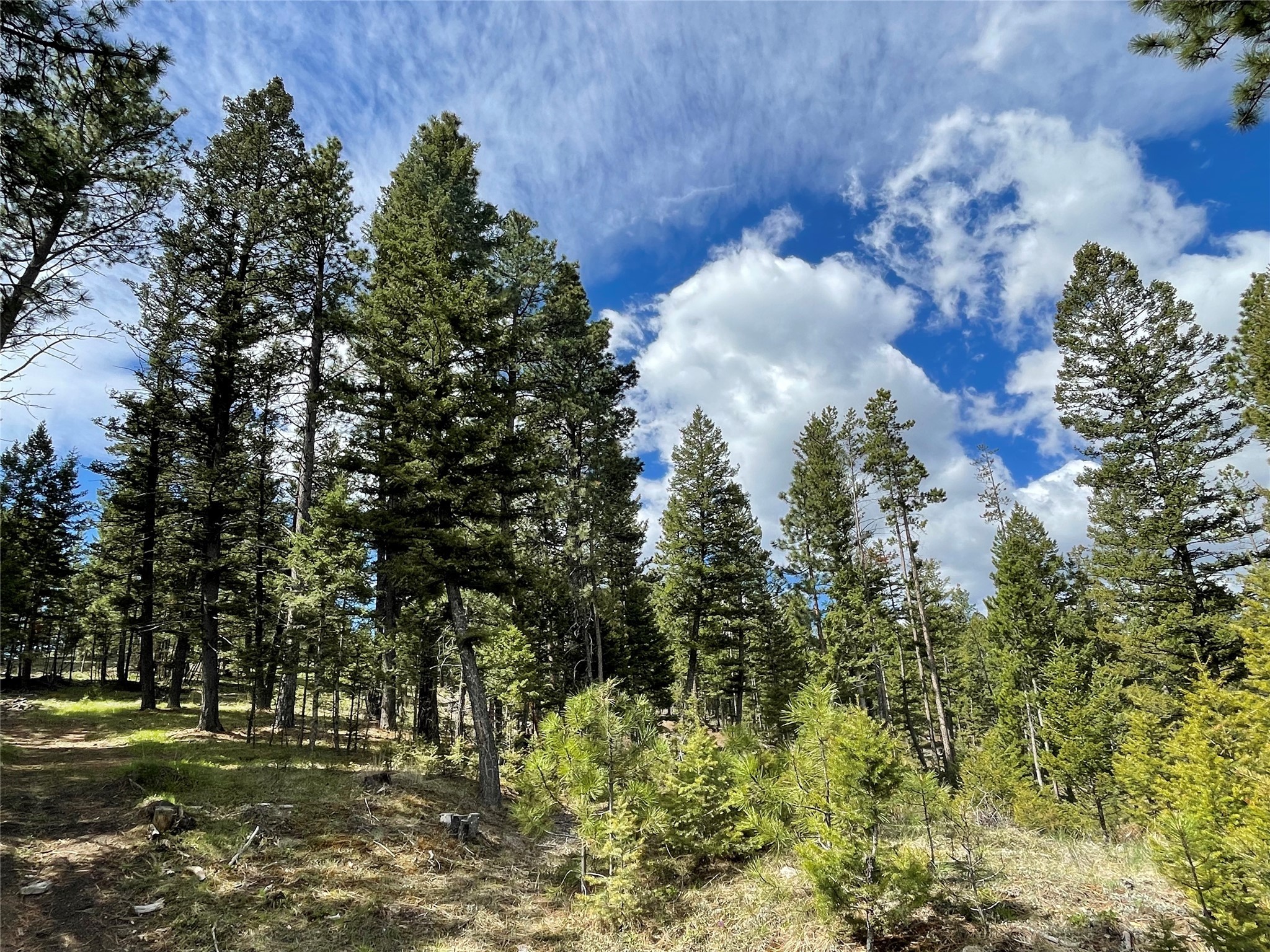 Helena, Montana 59601, United States, ,Land,Active,198697