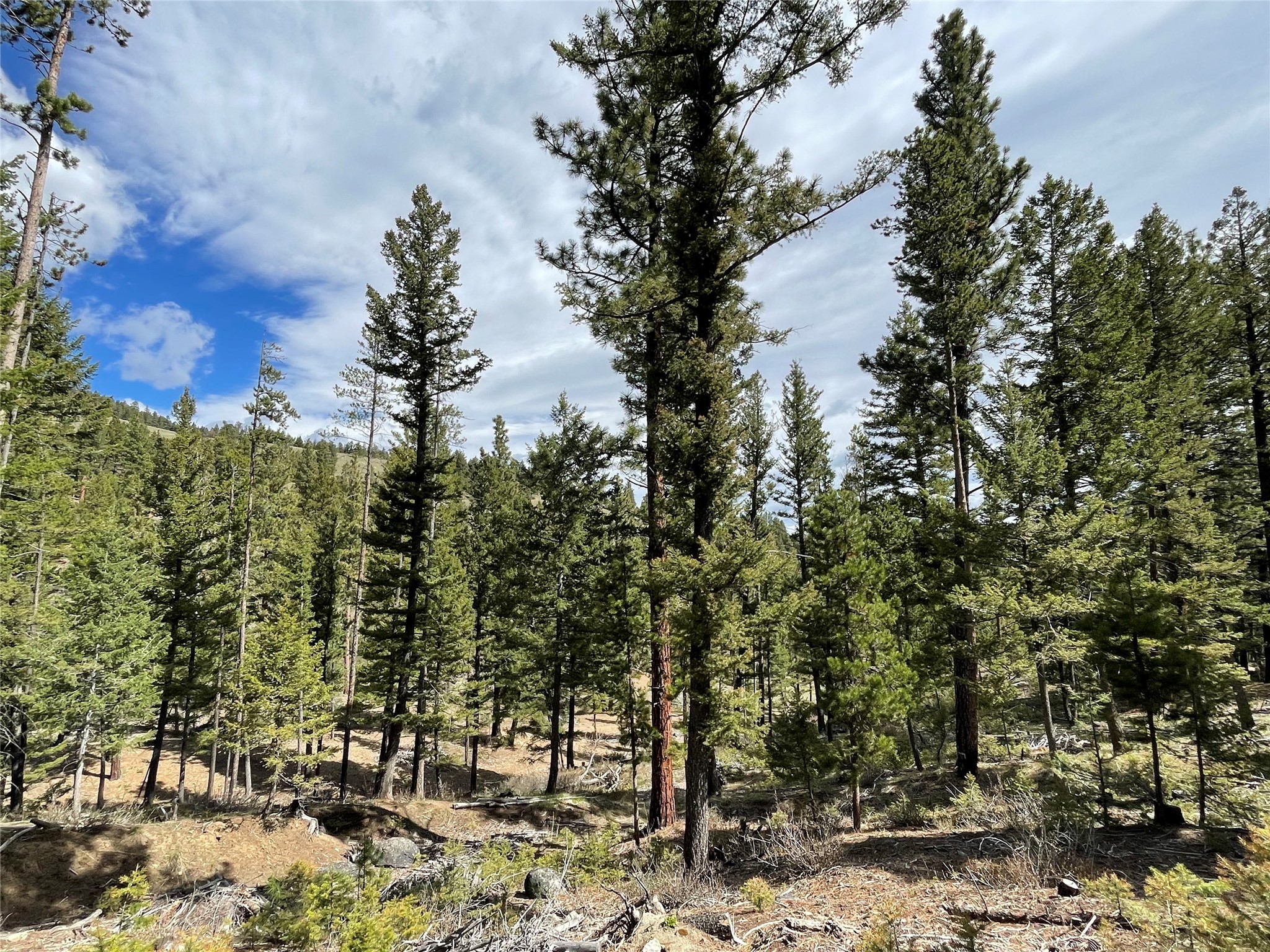 Helena, Montana 59601, United States, ,Land,Active,198697