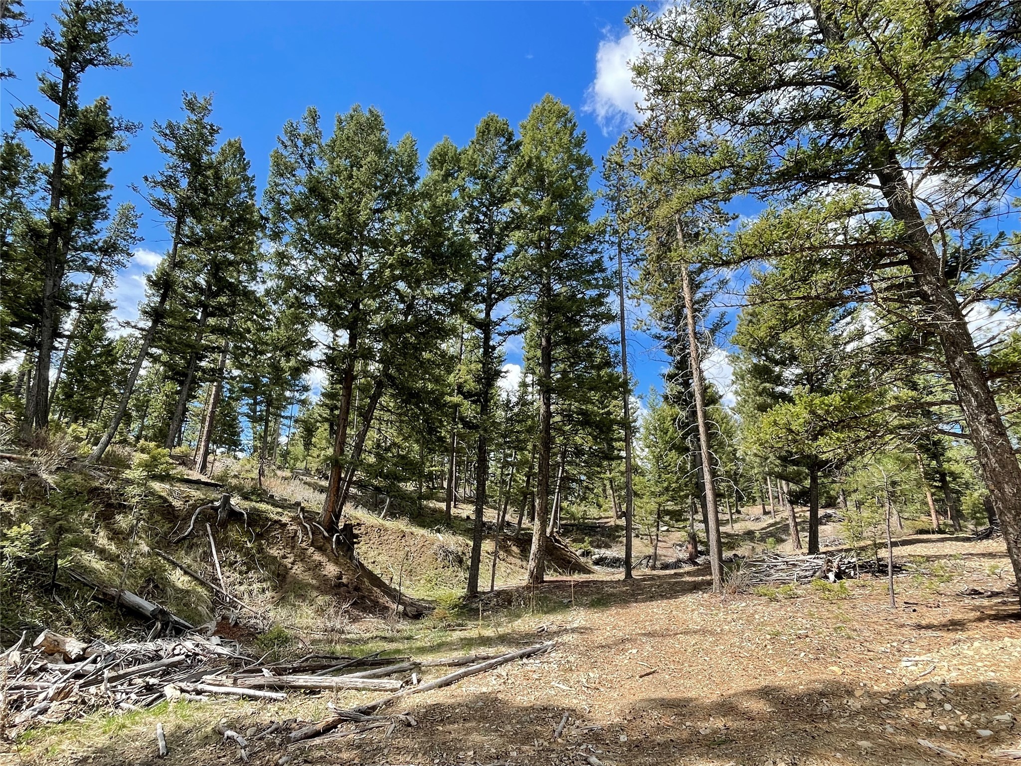 Helena, Montana 59601, United States, ,Land,Active,198697