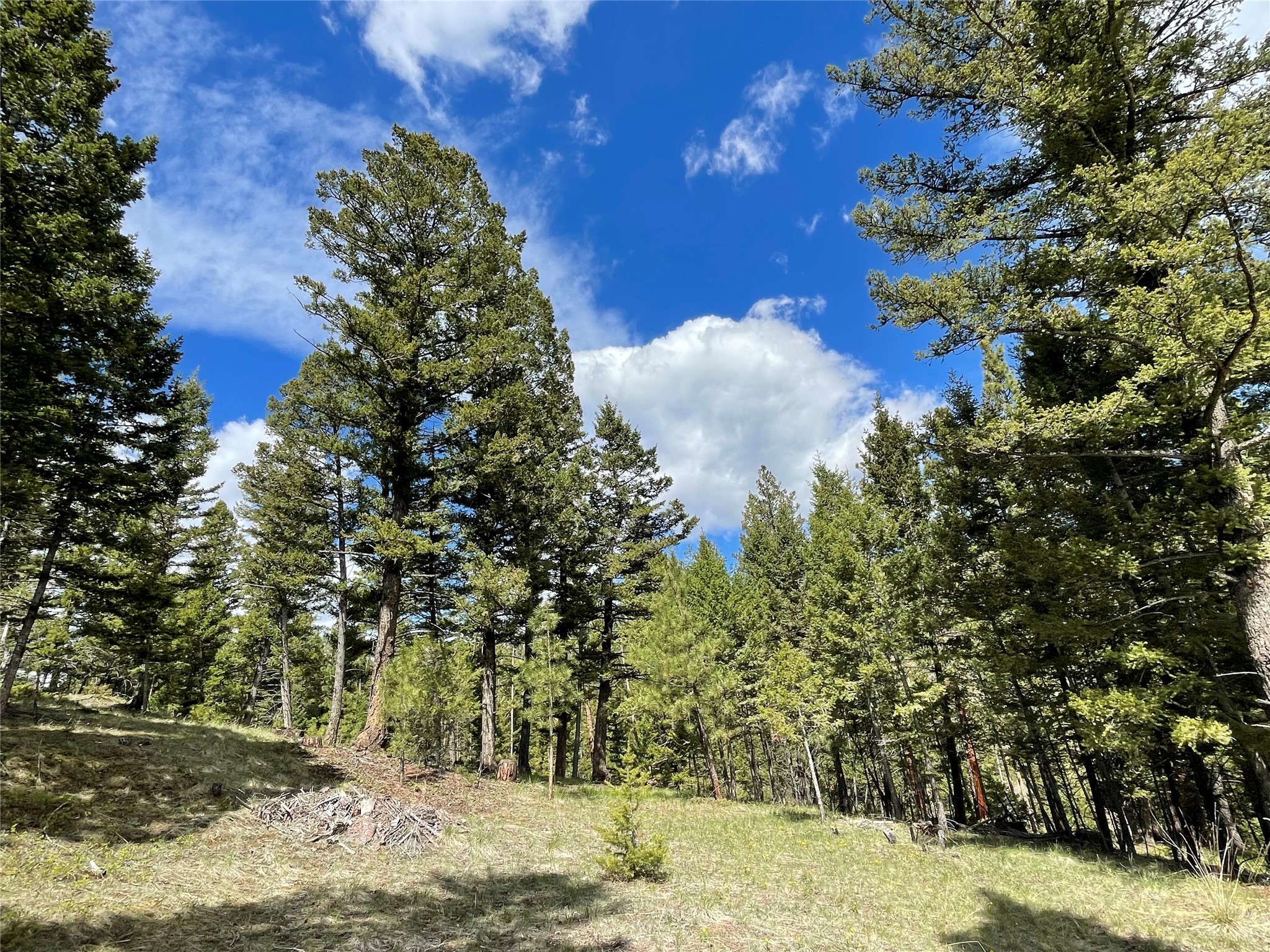 Helena, Montana 59601, United States, ,Land,Active,198697