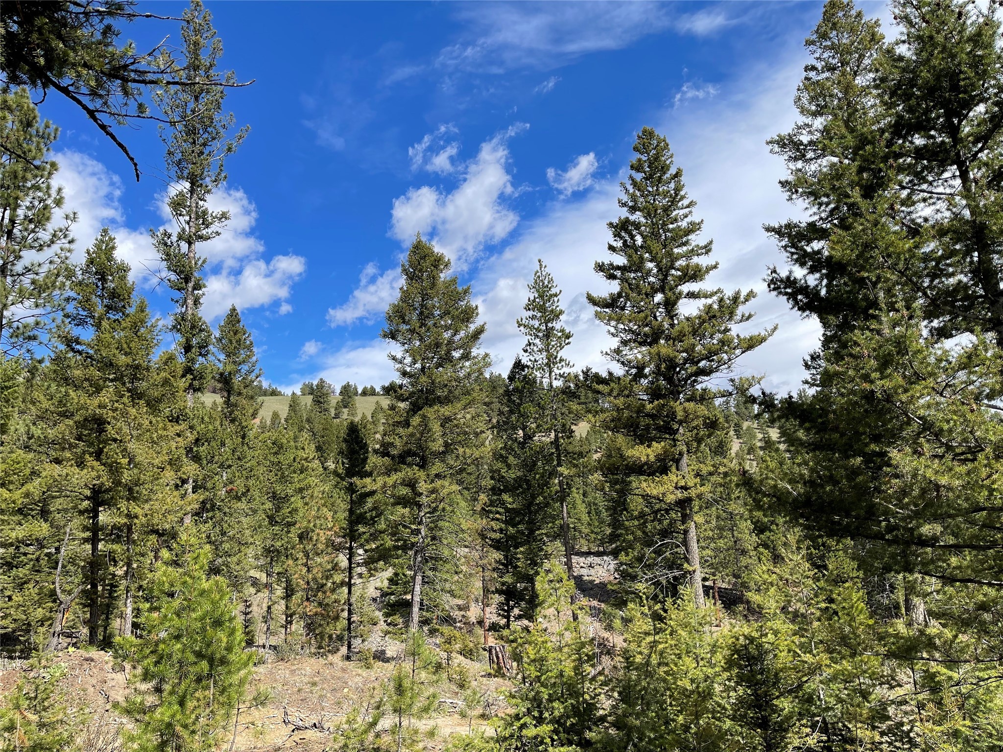 Helena, Montana 59601, United States, ,Land,Active,198697