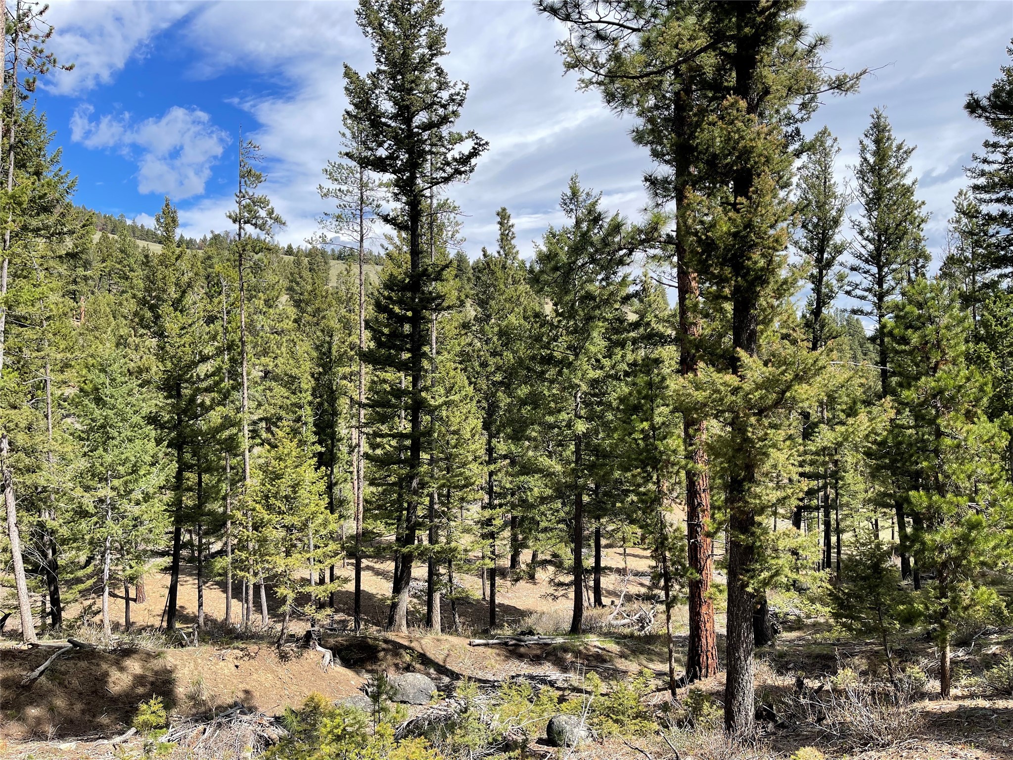 Helena, Montana 59601, United States, ,Land,Active,198697