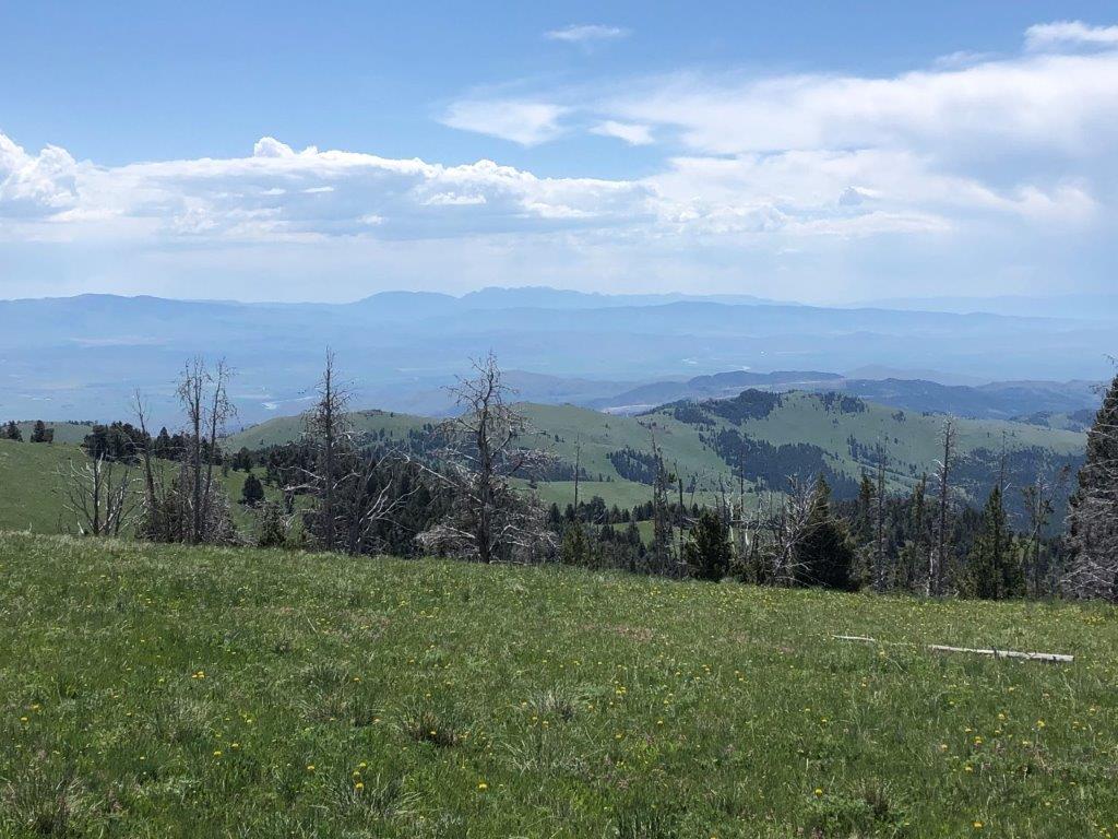 TBD Indian Creek Road