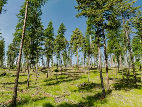 Tiny photo for 518 Northern Larch Trail #Lot 62, Kalispell, MT 59901 (MLS # 30053049)
