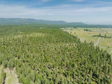 Tiny photo for 518 Northern Larch Trail #Lot 62, Kalispell, MT 59901 (MLS # 30053049)