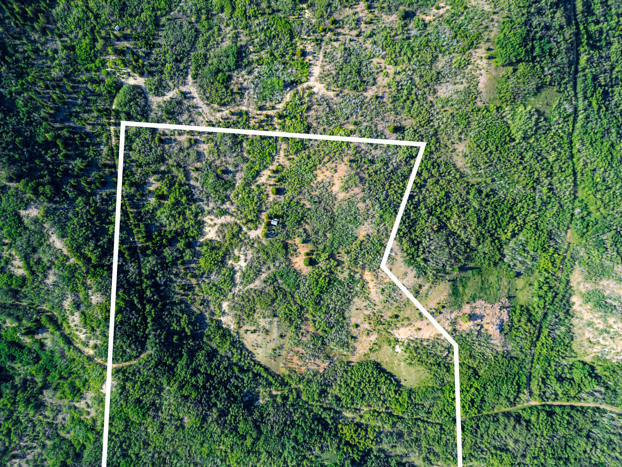 NHN Bear Paw Trail
