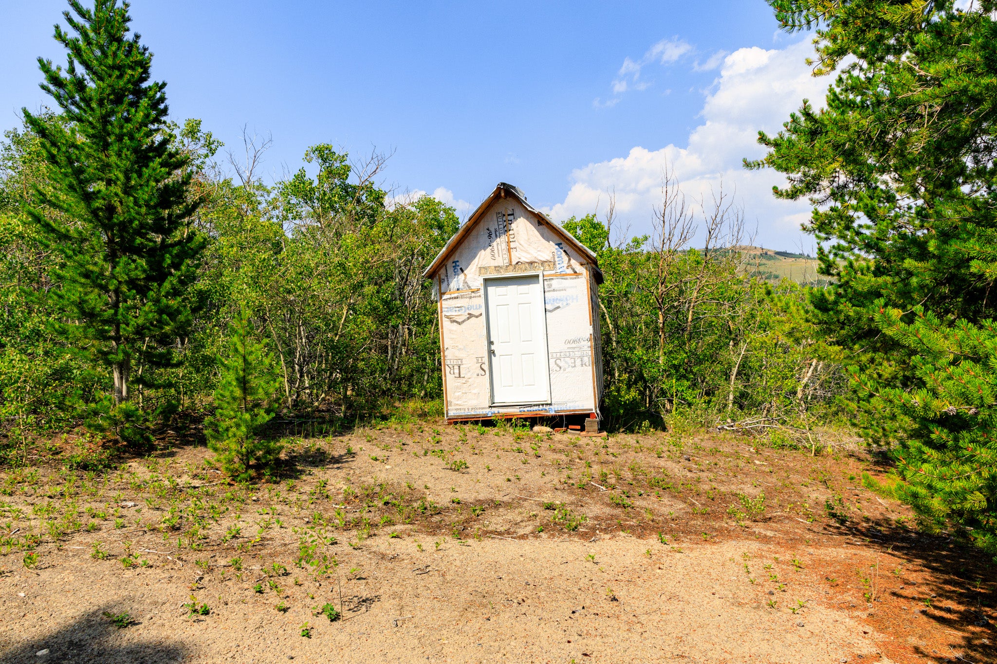 NHN Bear Paw Trail