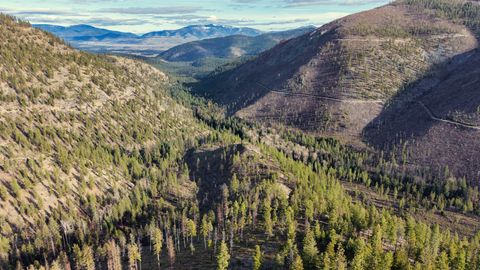 Nhn Swamp Creek Hunting Ranch Plains MT 59859