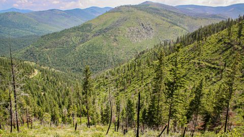 Nhn Swamp Creek Hunting Ranch Plains MT 59859