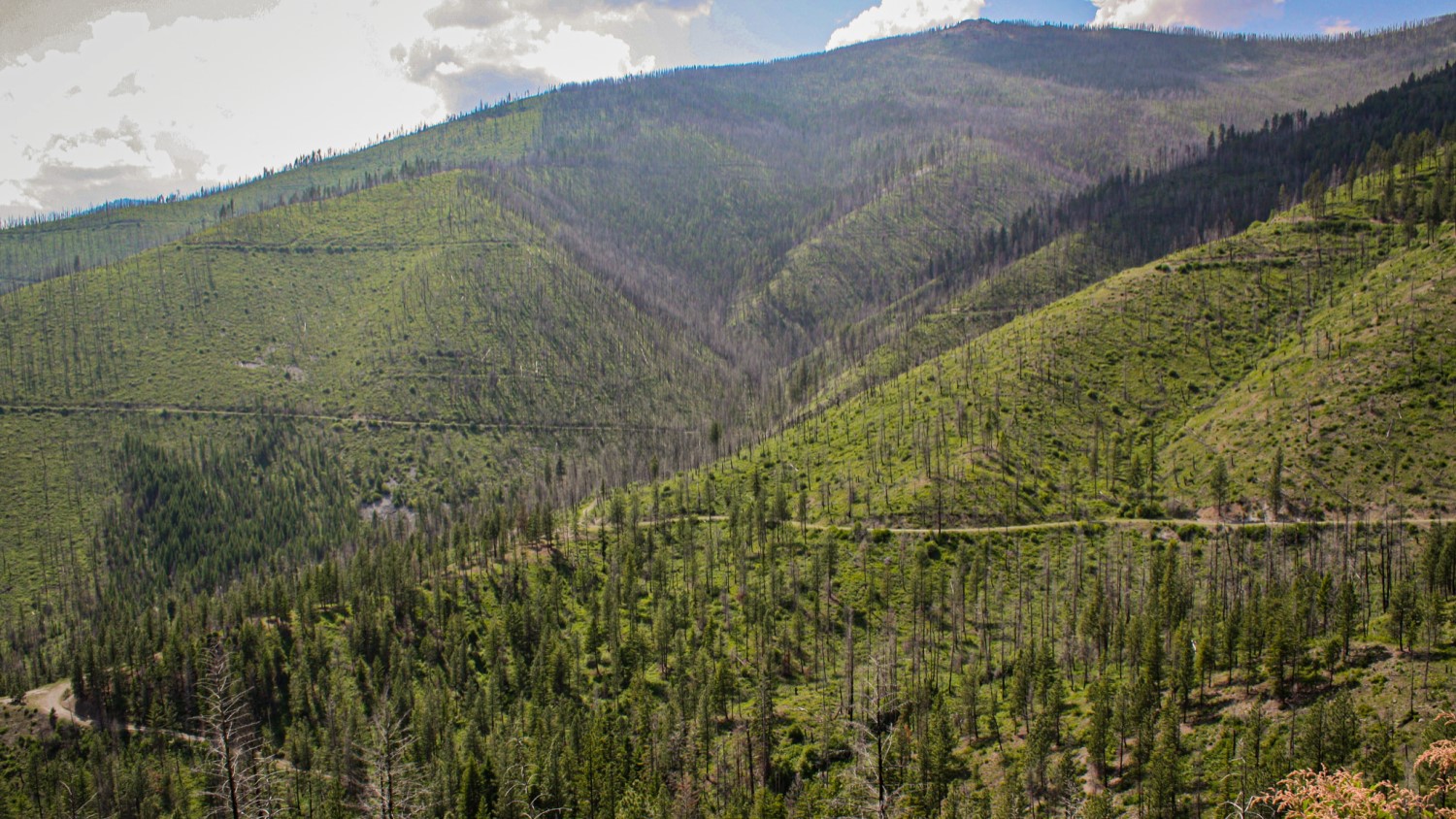 Nhn Swamp Creek Hunting Ranch