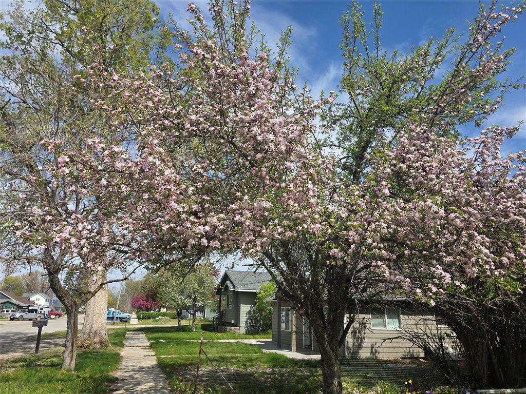 Photo of 114 N 7th Street, Hamilton, MT 59840 (MLS # 30067079)