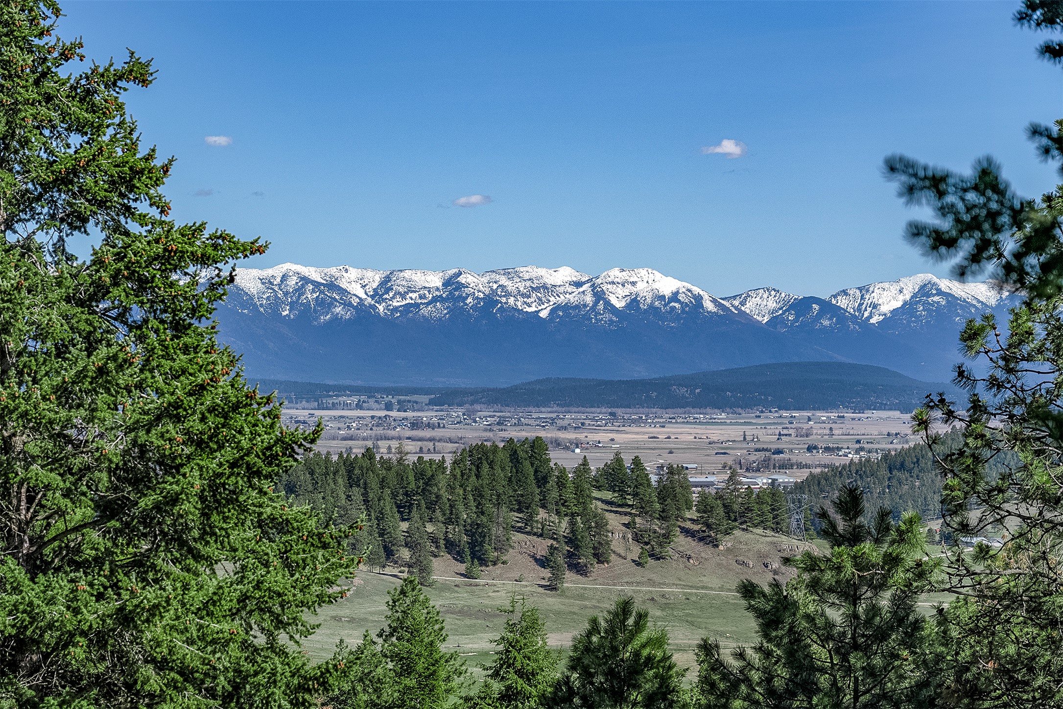 44 First Light Trail