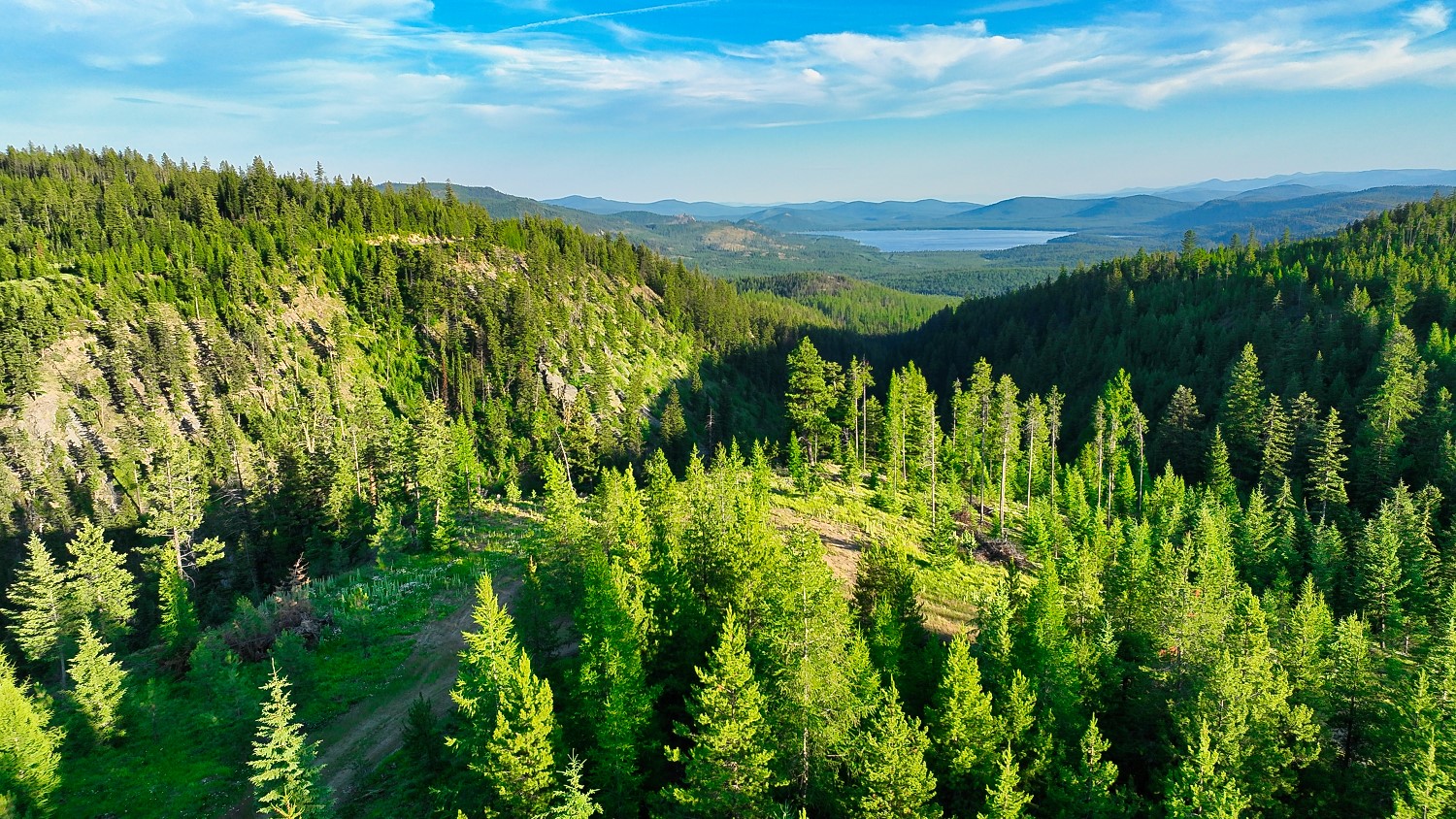 Nhn Little Bitterroot Overlook