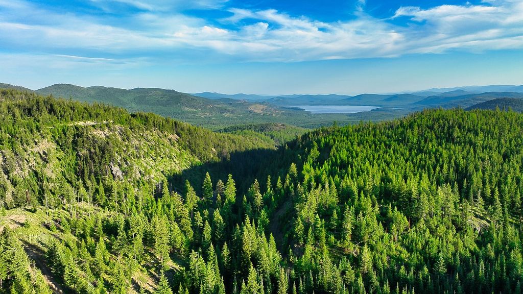 Photo of Nhn Little Bitterroot Overlook, Marion, MT 59925 (MLS # 30069545)